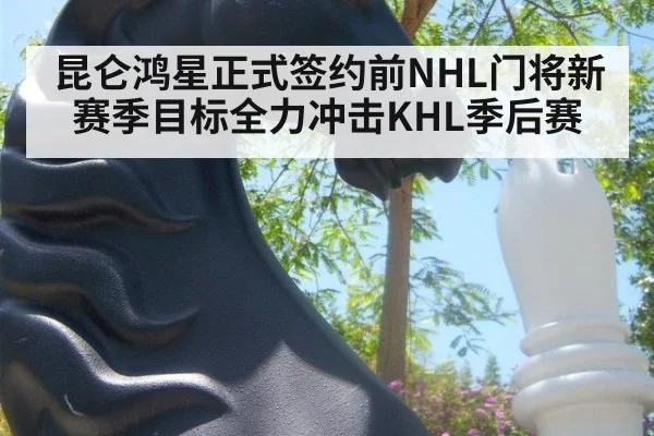 昆仑鸿星正式签约前NHL门将新赛季目标全力冲击KHL季后赛